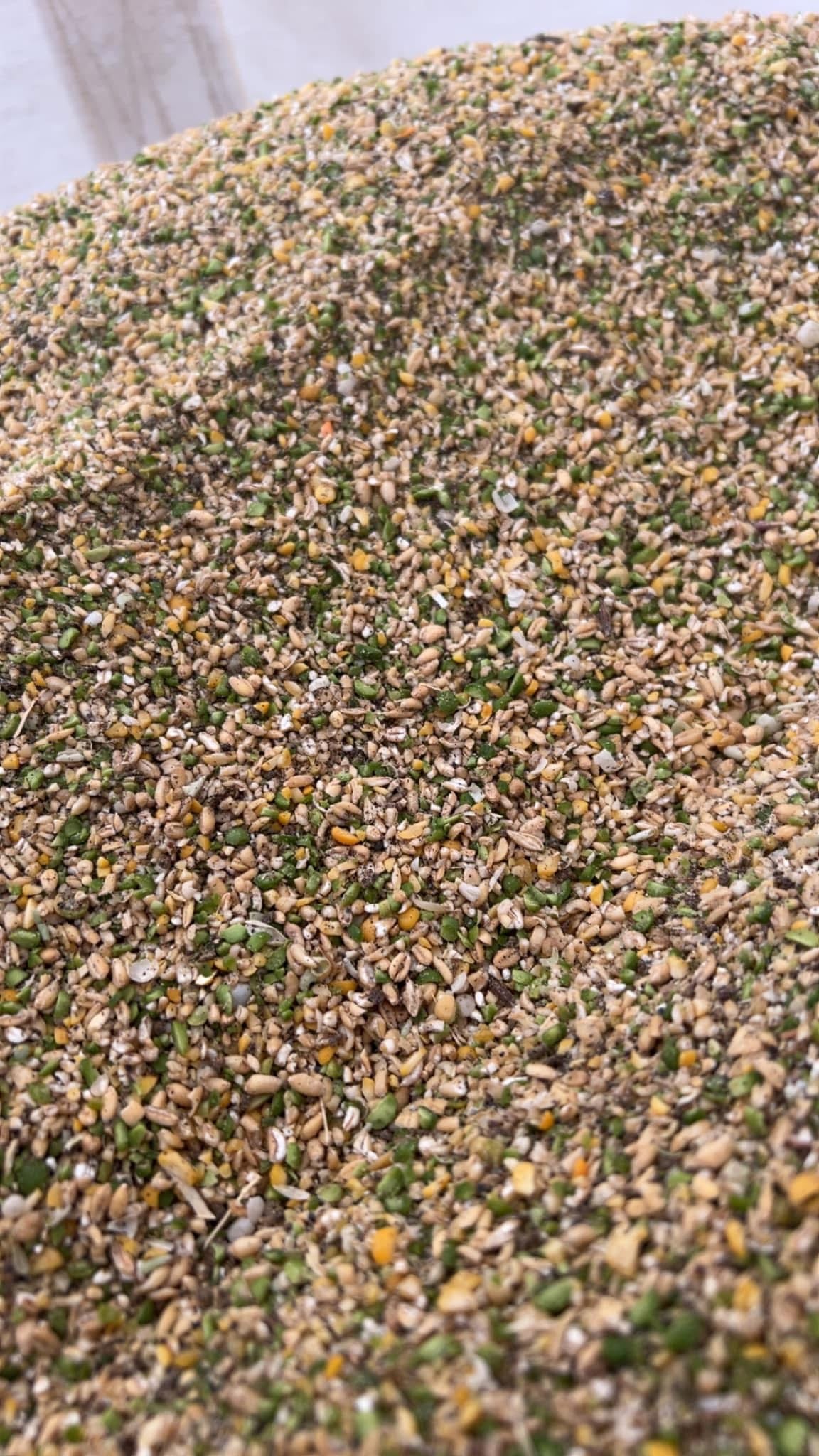 Cwik 19% Chicken Grower Feed Non Corn/Soy/GMO 50 lb bag | Simple Little ...